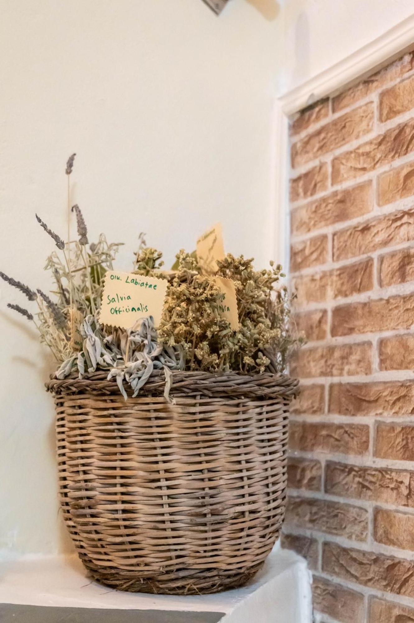 Golden Nest Villa Hanya Dış mekan fotoğraf